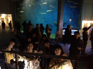 千歳サケのふるさと館１