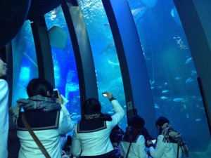横浜３